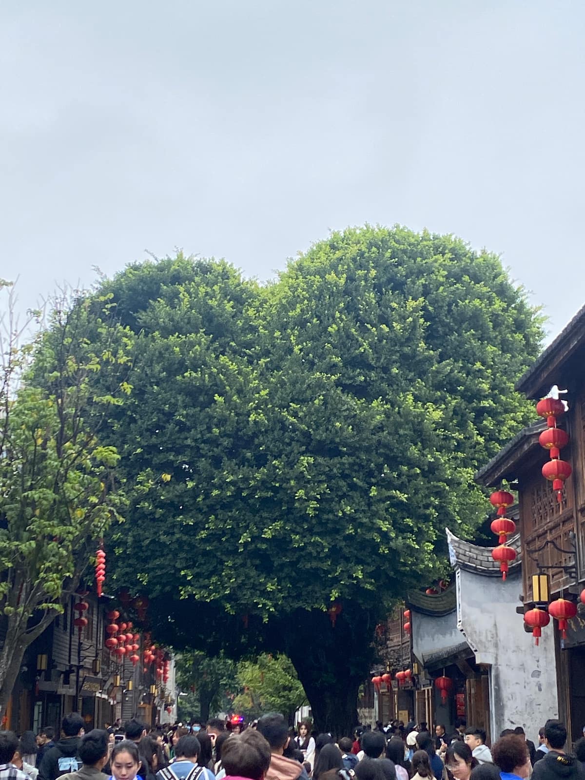 福建：福州、厦门等 6 座城市