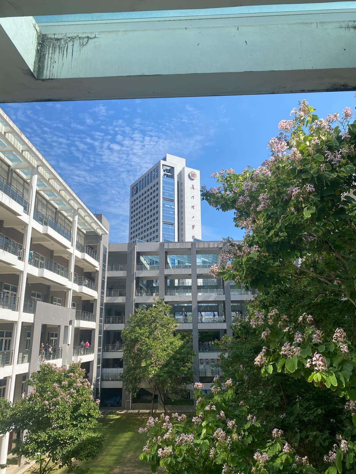 厦门市
